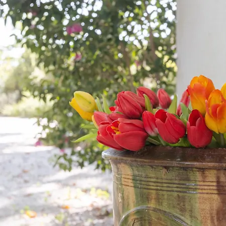 Maison D'artiste * Espira-de-l'Agly